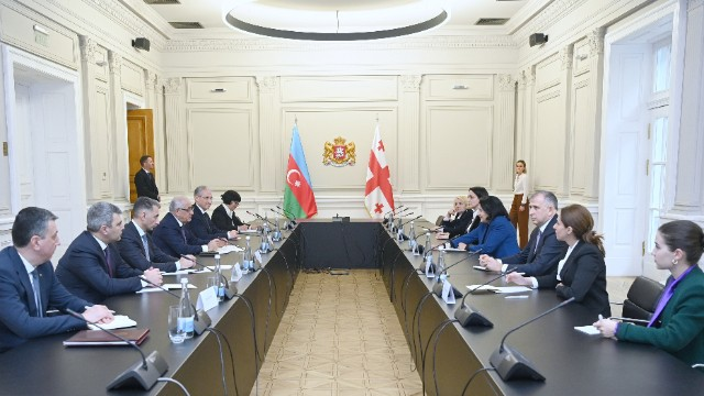 Əli Əsədov Gürcüstan Prezidenti ilə görüşdü