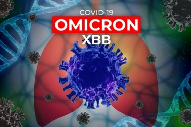 Koronavirusun yeni variantı XBB.1.5 - Bu barədə nə bilmək lazımdır?