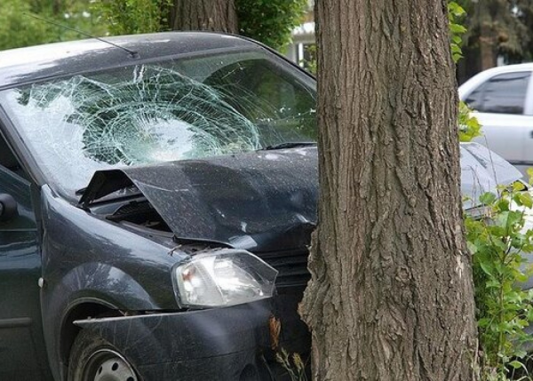 İsmayıllıda "Toyota" ağaca çırpıldı - 3 nəfər yaralandı
